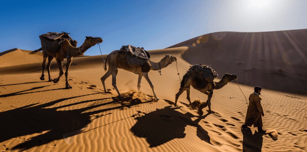 Foum Zguid to Chegaga Tours