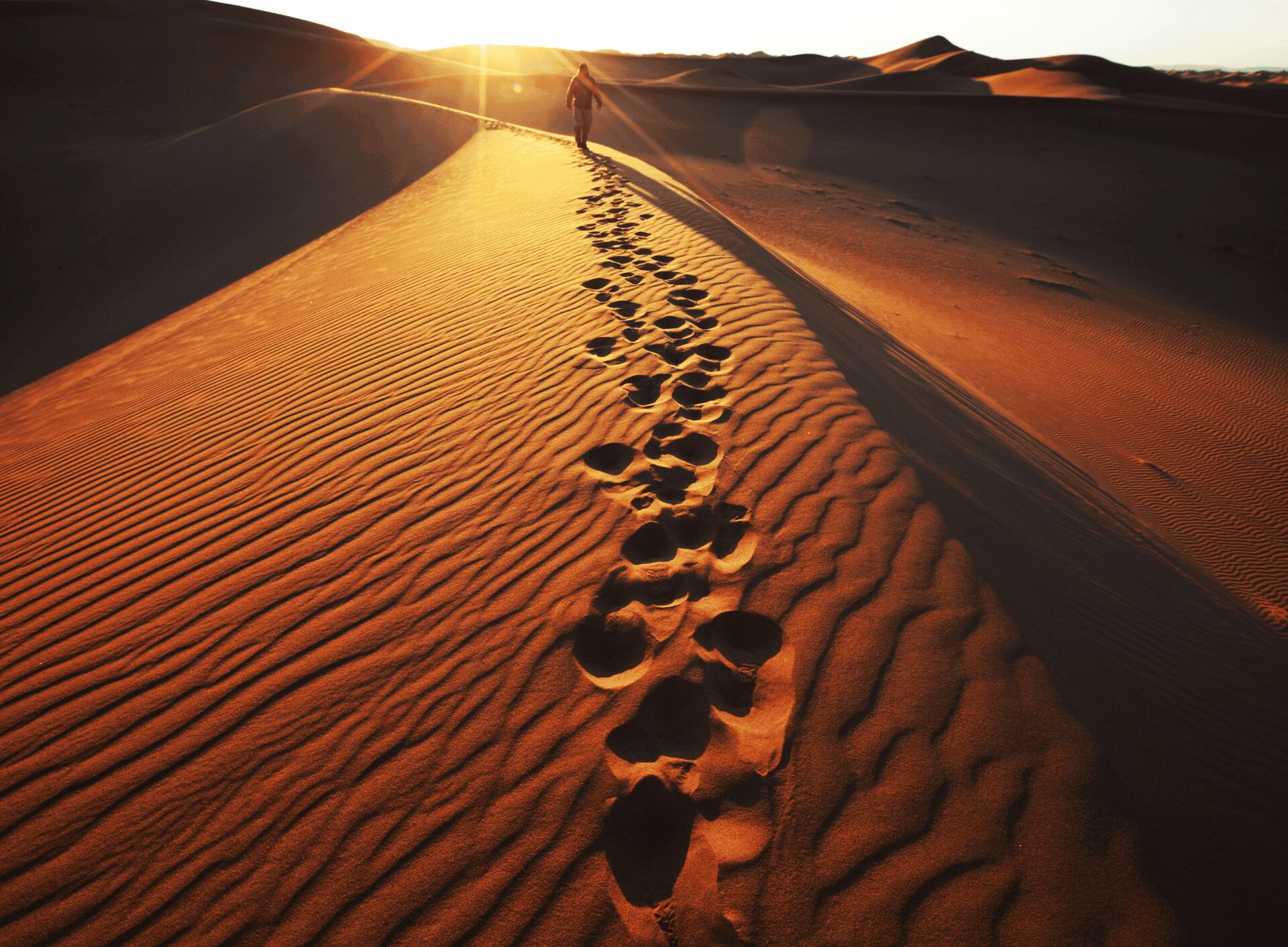 Foum Zguid to Erg Chegaga Desert