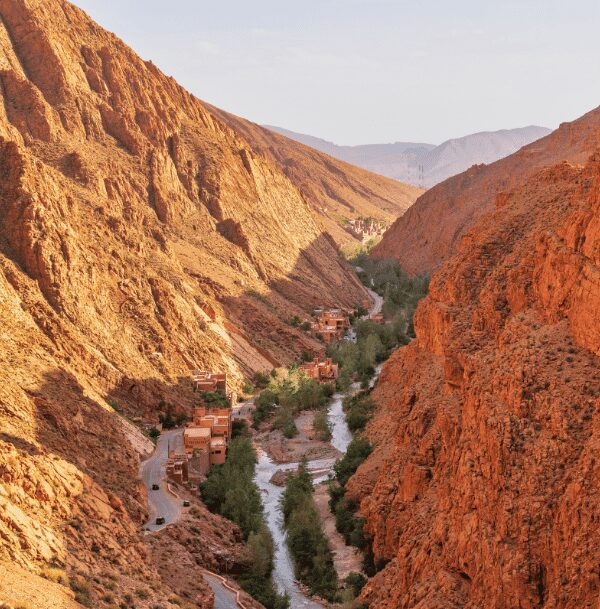 Rock Carvings Desert Tour from Foum Zguid