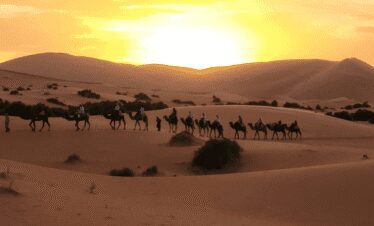 Foum Zguid to Erg Chigaga