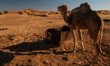 Iriqui National Park